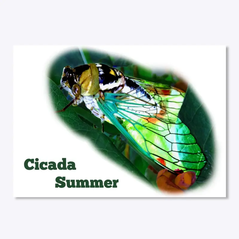 Cicada Summer