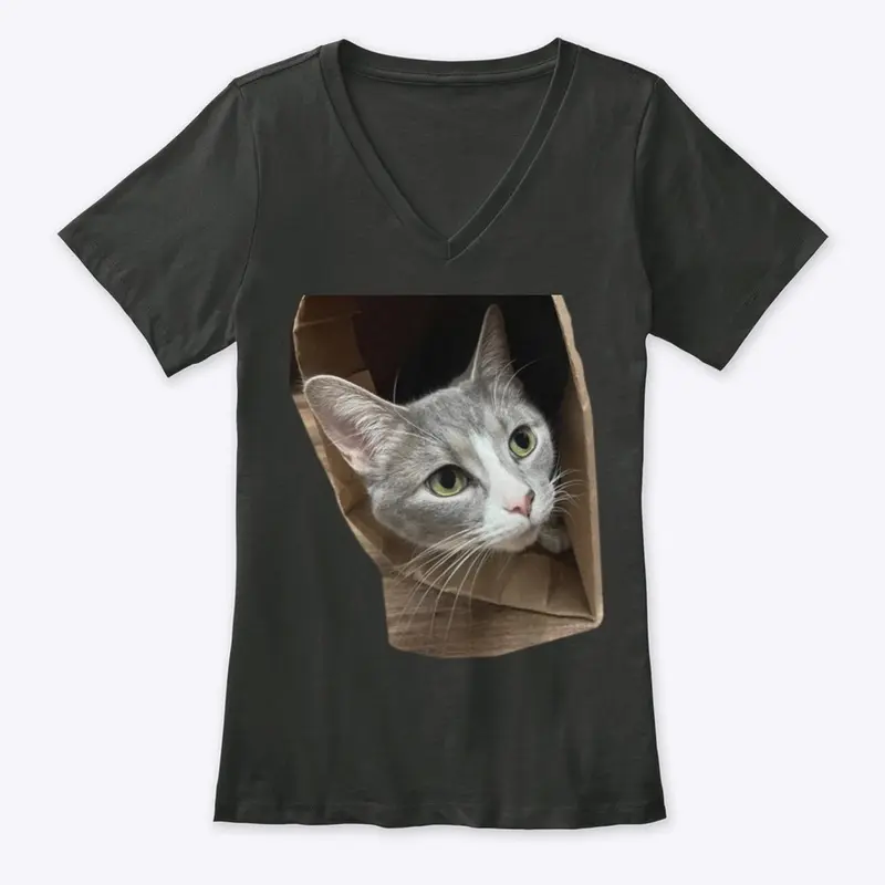 CatInABag